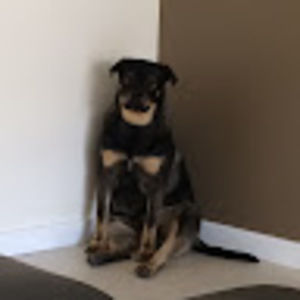 Meet your Posher, Joanne clare